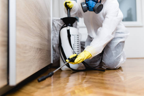 Best Exterminator Services  in Anna, IL