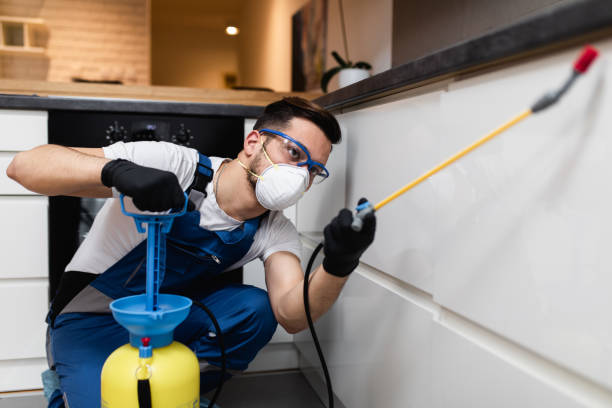 Best Cockroach Control Services  in Anna, IL