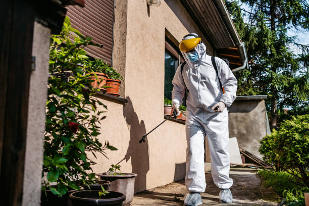 Reliable Anna, IL Pest Control Solutions
