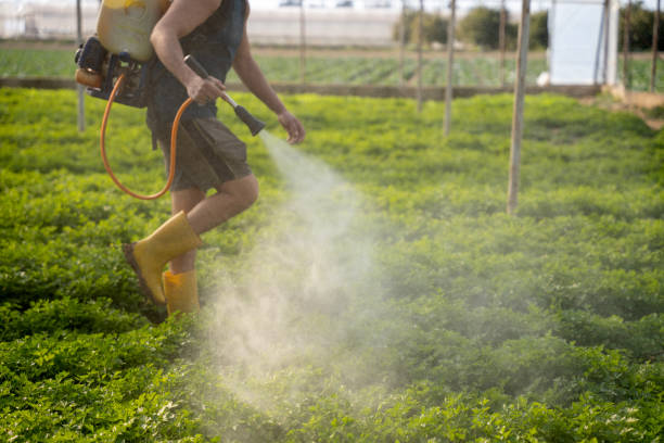 Best Emergency Pest Control  in Anna, IL