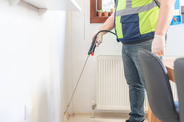 Best Rat Extermination Near Me  in Anna, IL