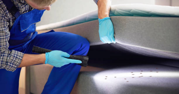 Best Affordable Pest Control Services  in Anna, IL