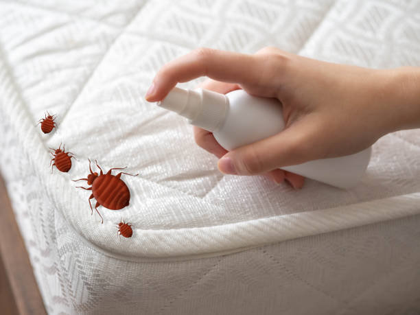 Best Pest Inspection Near Me  in Anna, IL